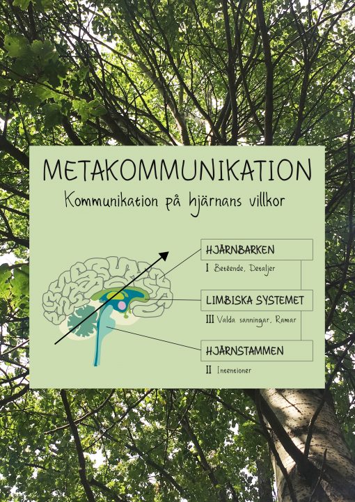 Metakommunikation Hjärna Träd